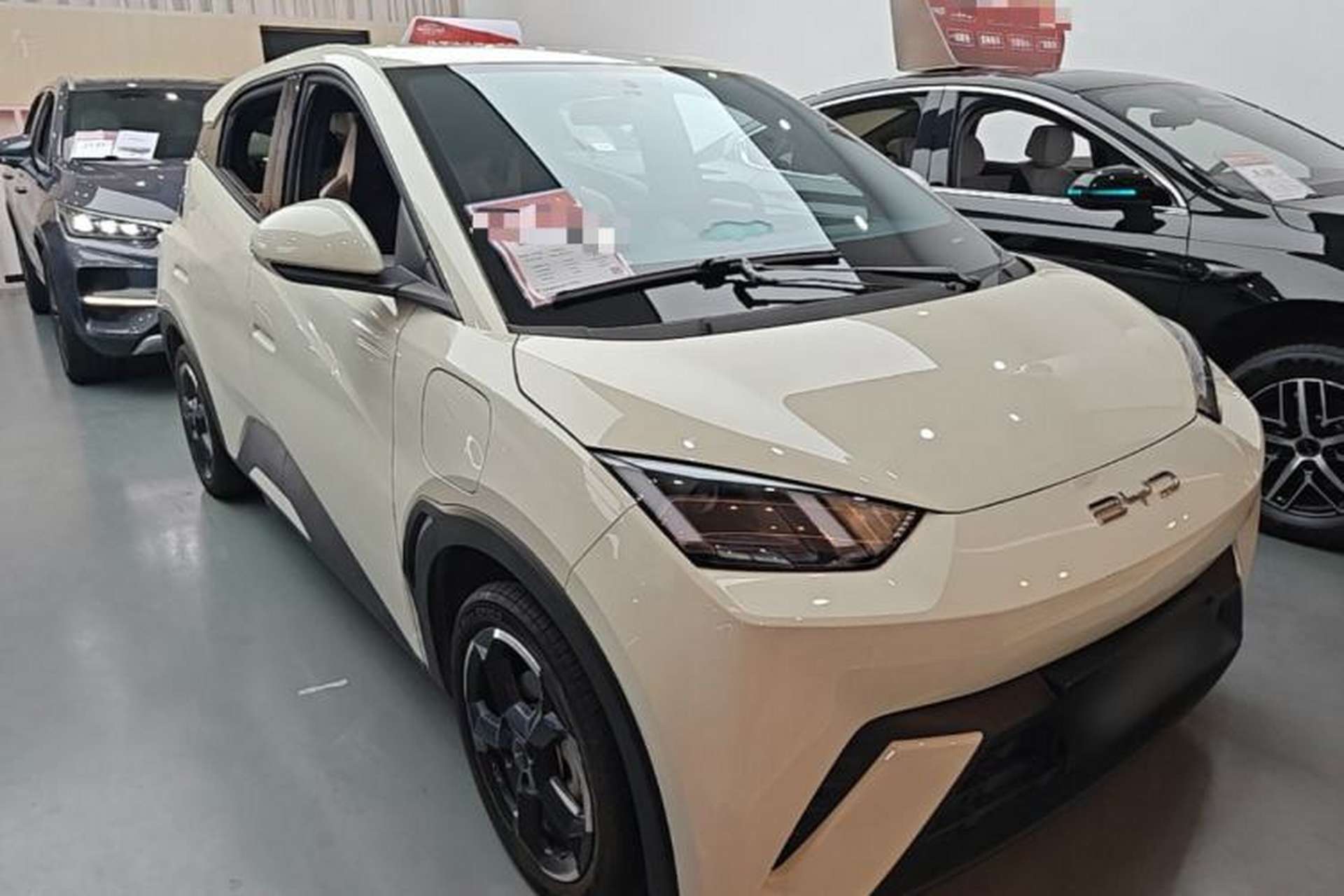 Used BYD Seagull 2023 Free Edition Exterior 1