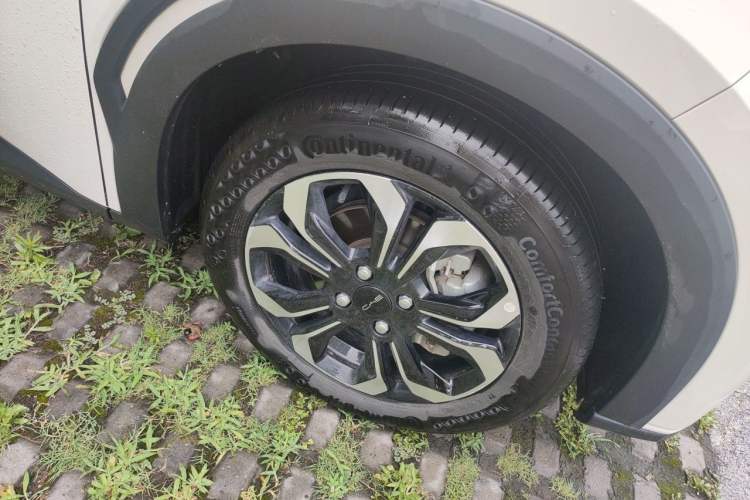 Used BYD Seagull 2023 Active Version Exterior 1
