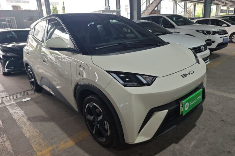 Used BYD Seagull 2023 Free Edition Exterior 1