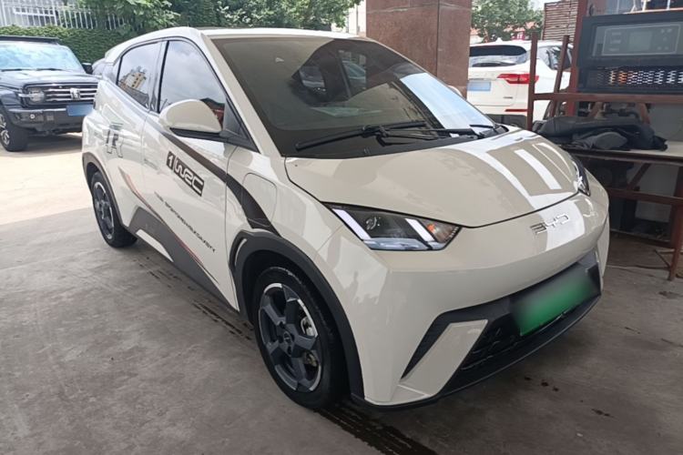 Used BYD Seagull 2023 Free Edition Exterior 1