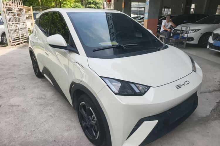 Used BYD Seagull 2023 Flying Edition Exterior 1