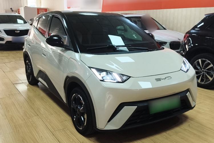 Used BYD Seagull 2023 Free Edition Exterior 1