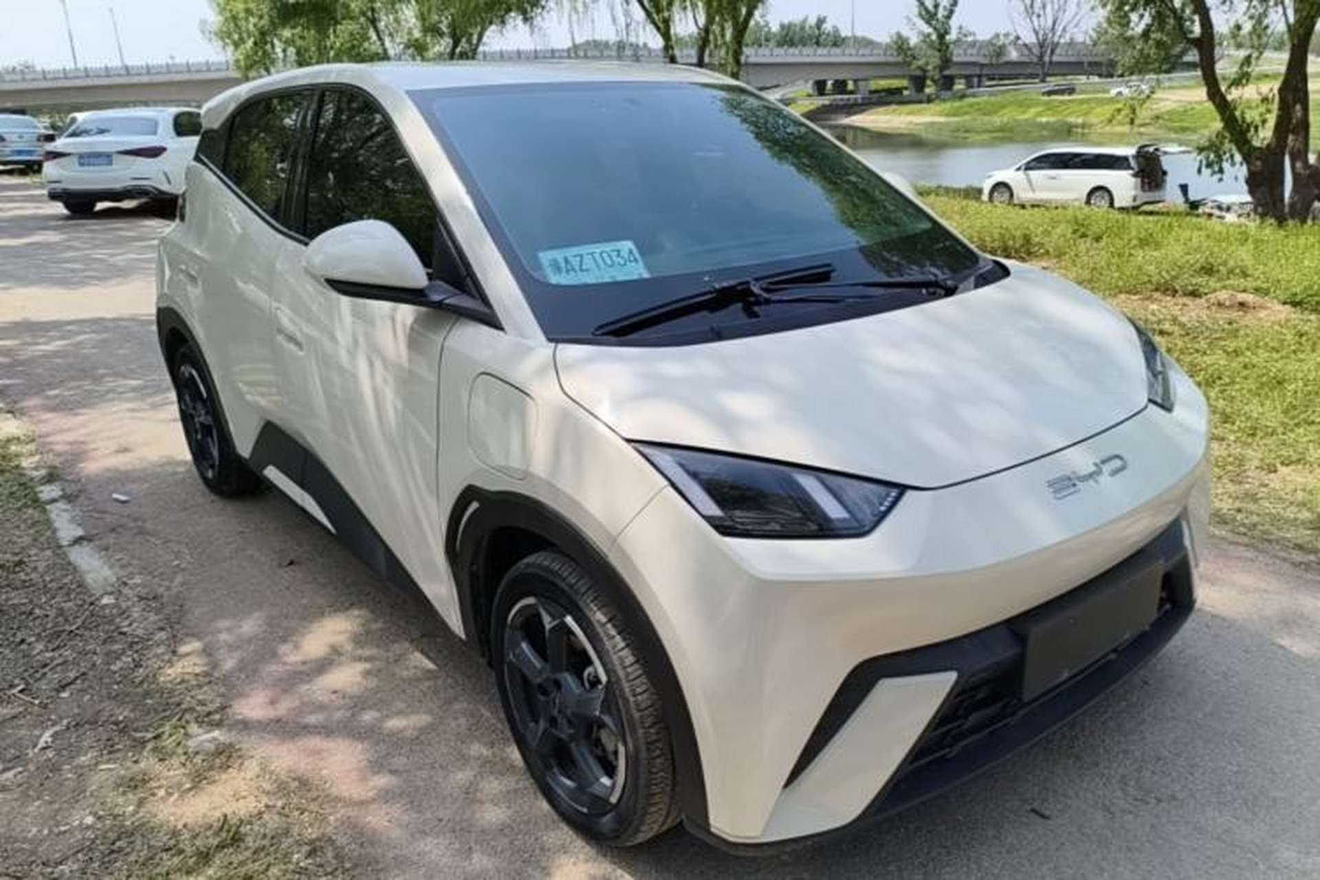 Used BYD Seagull 2023 Free Edition Exterior 1