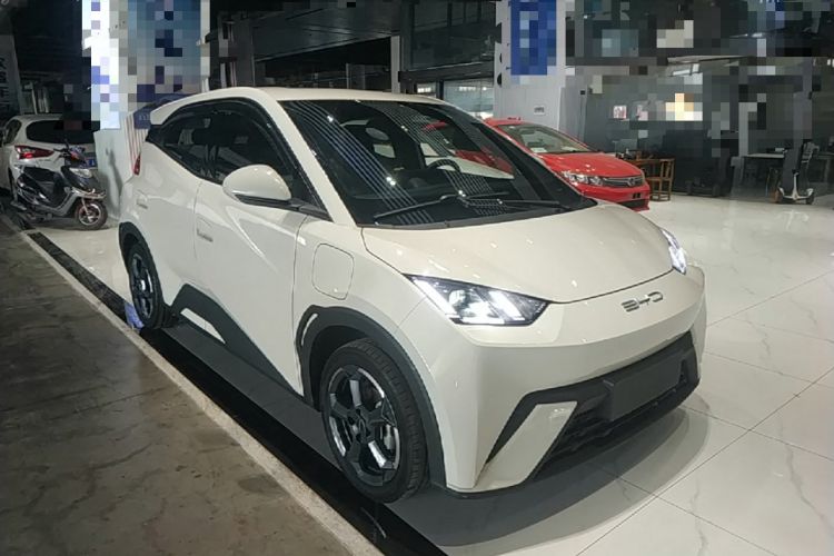 Used BYD Seagull 2023 Free Edition Exterior 1