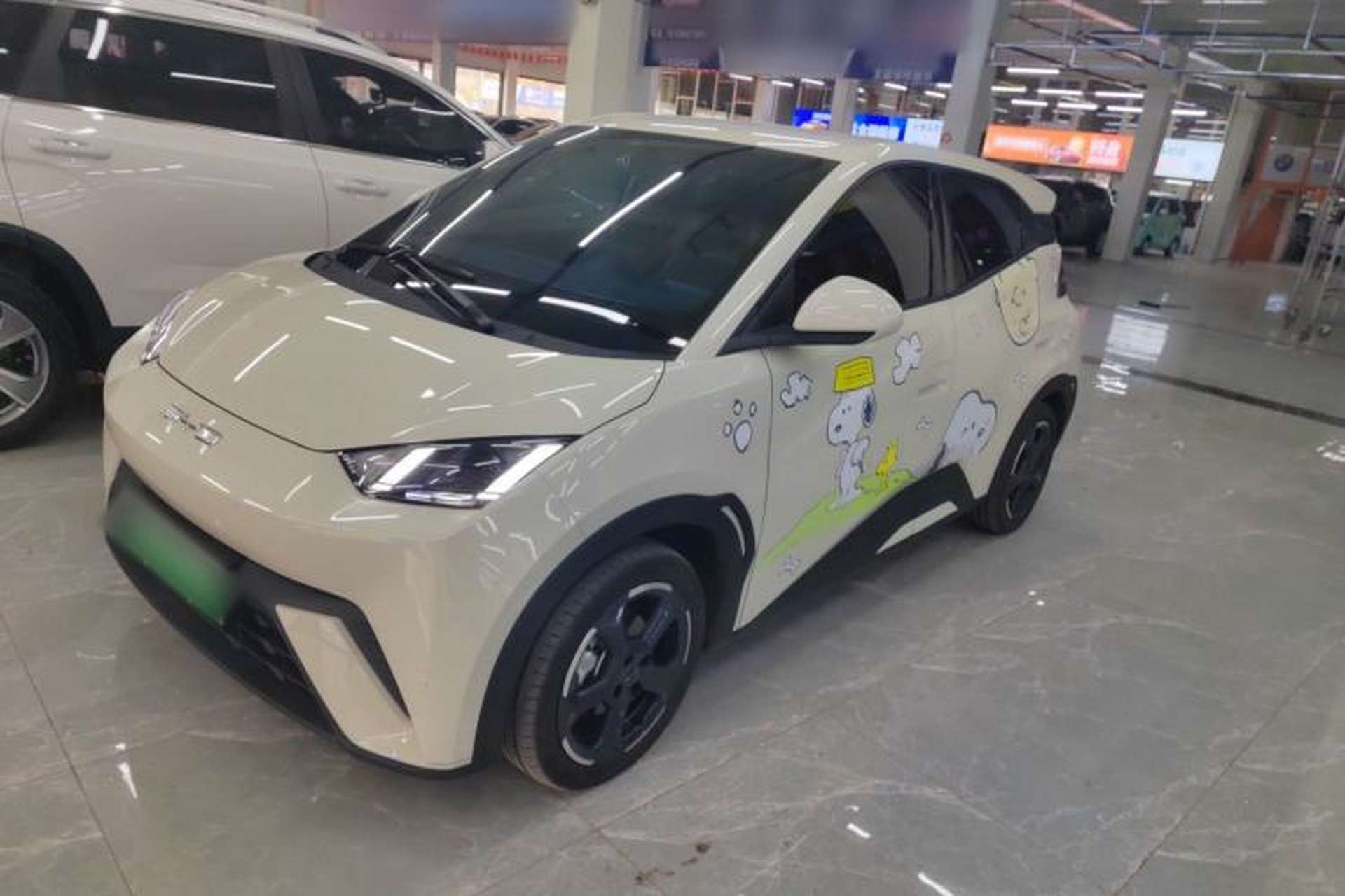 Used BYD Seagull 2023 Flying Edition Exterior 1