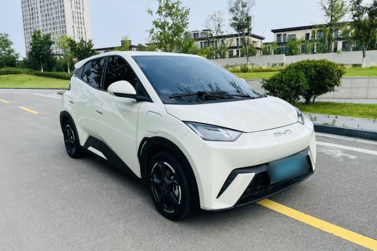 Used BYD Seagull 2023 Free Edition Exterior 11