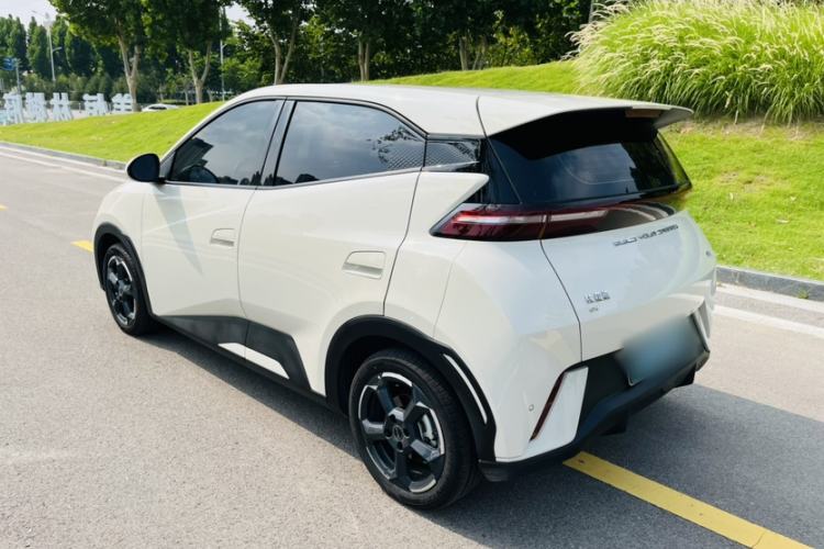 Used BYD Seagull 2023 Free Edition Exterior 12