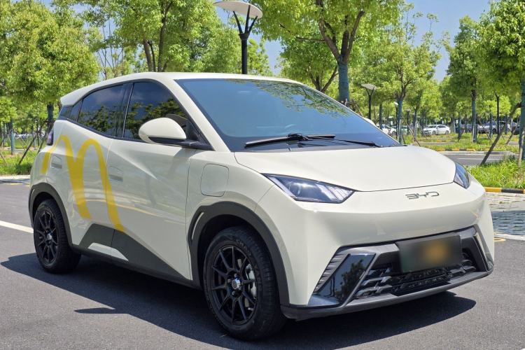 Used BYD Seagull 2023 Active Version Exterior 2
