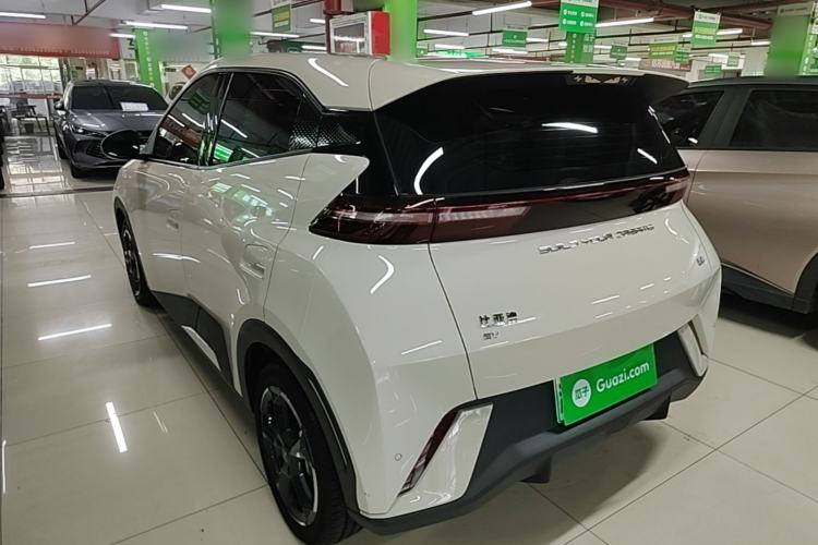 Used BYD Seagull 2023 Free Edition Exterior 2