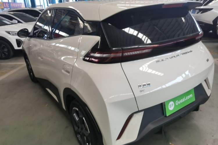 Used BYD Seagull 2023 Flying Edition Exterior 2