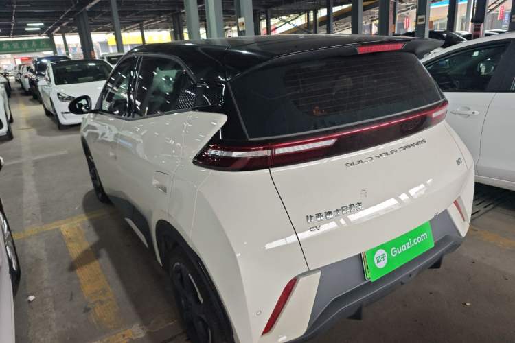 Used BYD Seagull 2023 Free Edition Exterior 2