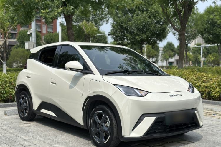 Used BYD Seagull 2023 Flying Edition Exterior 2
