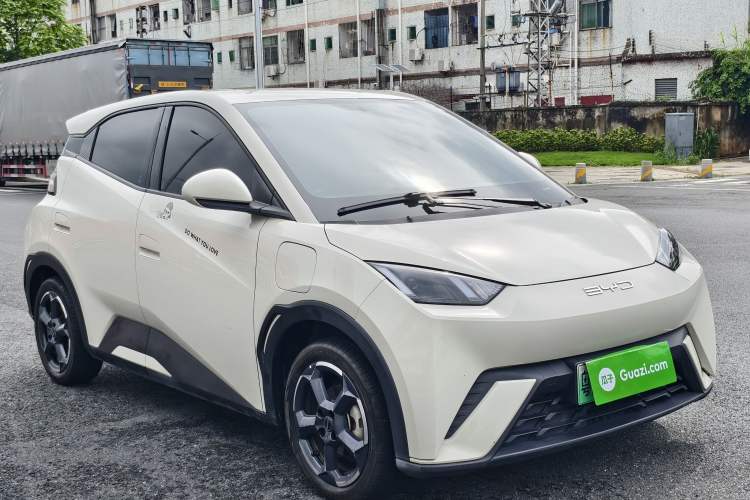 Used BYD Seagull 2023 Free Edition Exterior 2