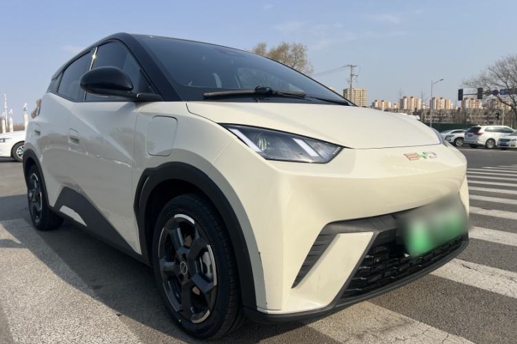 Used BYD Seagull 2023 Flying Edition Exterior 2