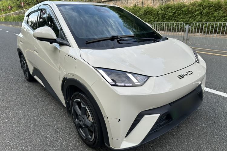 Used BYD Seagull 2023 Flying Edition Exterior 2