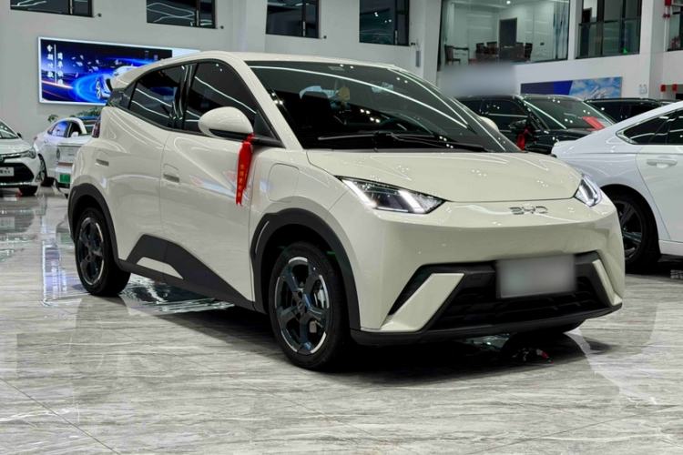 Used BYD Seagull 2023 Free Edition Exterior 3