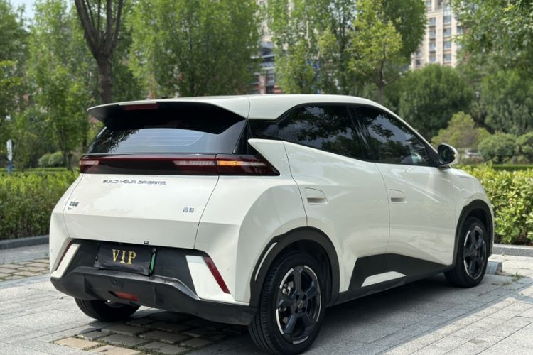 Used BYD Seagull 2023 Flying Edition Exterior 3