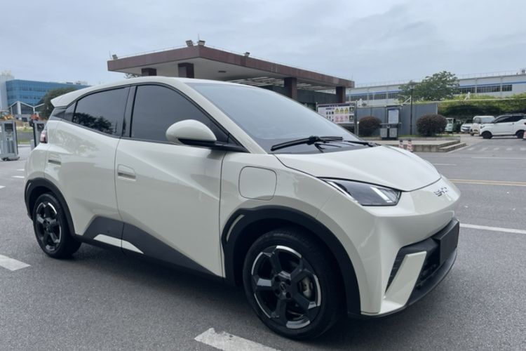 Used BYD Seagull 2023 Free Edition Exterior 3