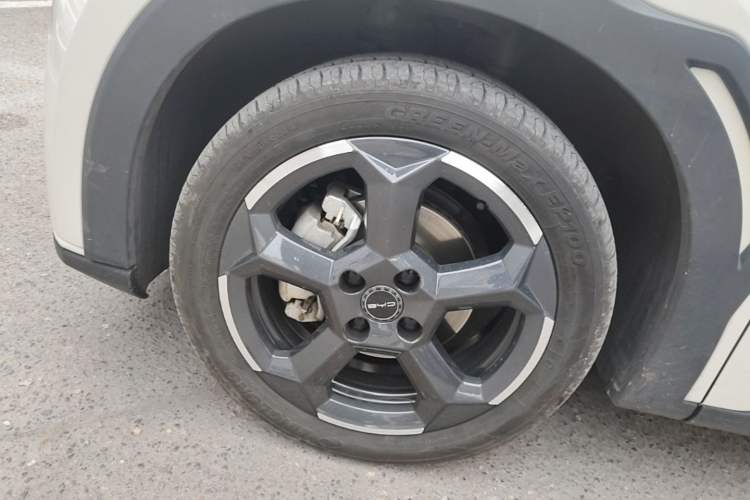 Used BYD Seagull 2023 Flying Edition Exterior 4