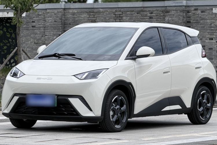 Used BYD Seagull 2023 Free Edition Exterior 4