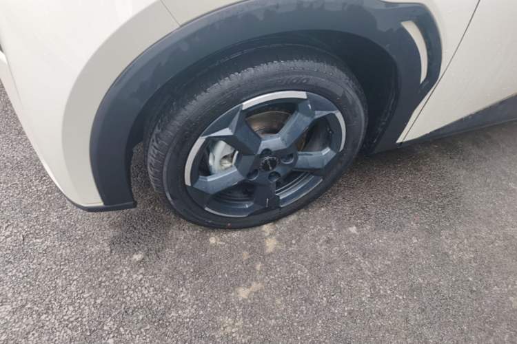 Used BYD Seagull 2023 Free Edition Exterior 4