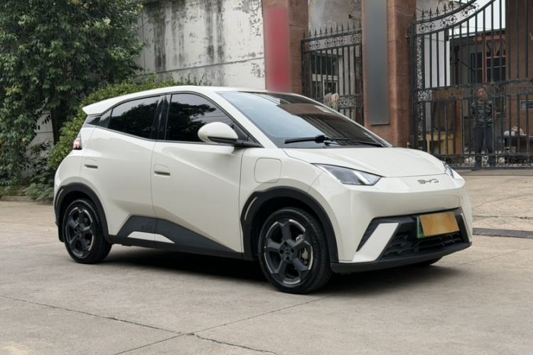 Used BYD Seagull 2023 Free Edition Exterior 4