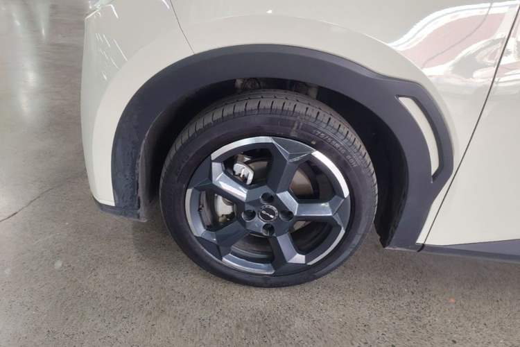 Used BYD Seagull 2023 Flying Edition Exterior 4