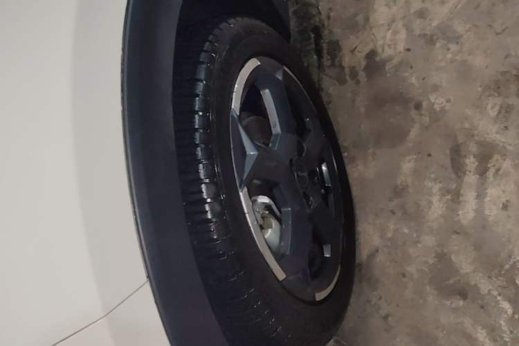 Used BYD Seagull 2023 Free Edition Exterior 4