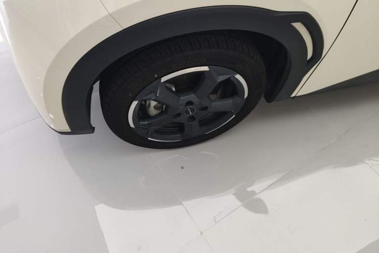 Used BYD Seagull 2023 Flying Edition Exterior 4