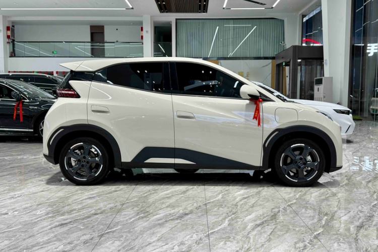 Used BYD Seagull 2023 Free Edition Exterior 4