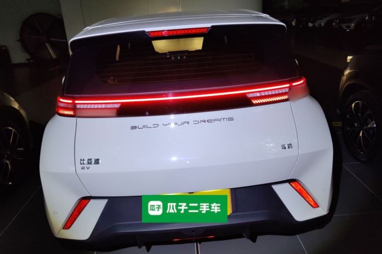 Used BYD Seagull 2023 Active Version Exterior 4