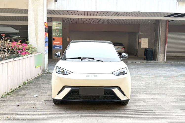 Used BYD Seagull 2023 Free Edition Exterior 4
