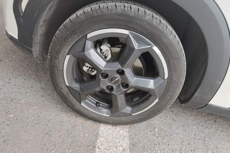Used BYD Seagull 2023 Flying Edition Exterior 5