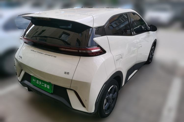 Used BYD Seagull 2023 Free Edition Exterior 5