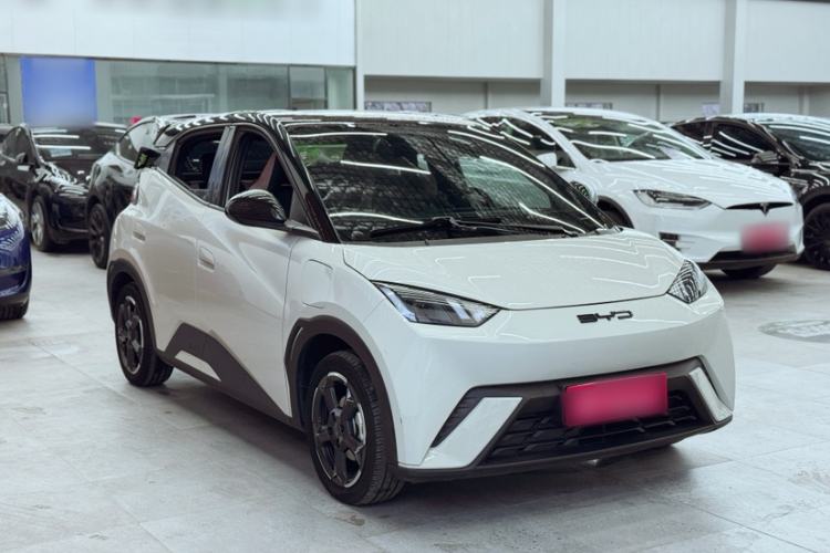Used BYD Seagull 2023 Flying Edition Exterior 5