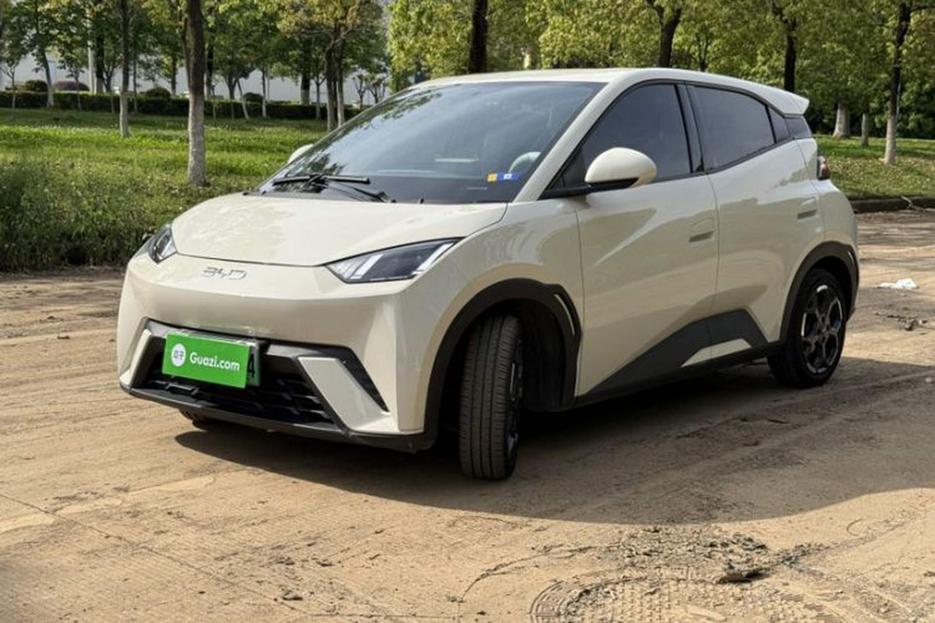 Used BYD Seagull 2023 Free Edition Exterior 5