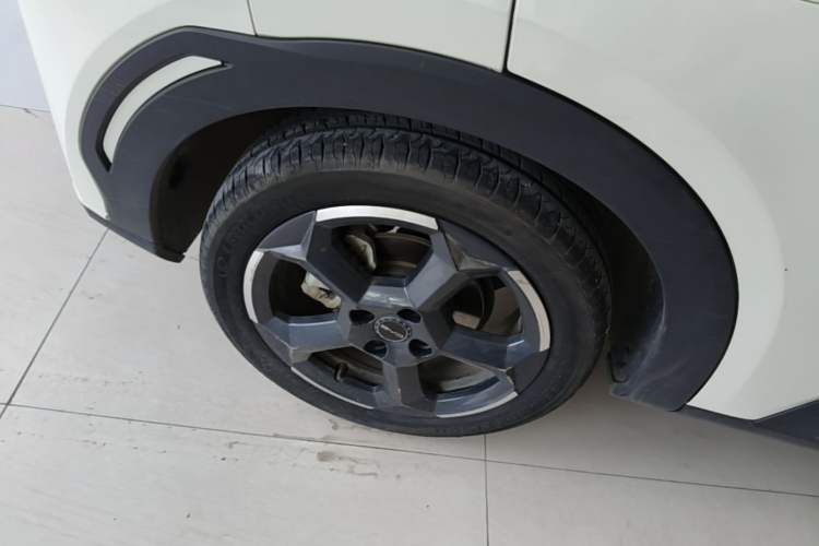 Used BYD Seagull 2023 Flying Edition Exterior 5