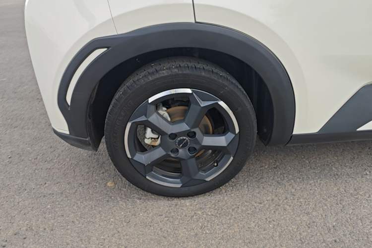 Used BYD Seagull 2023 Free Edition Exterior 5