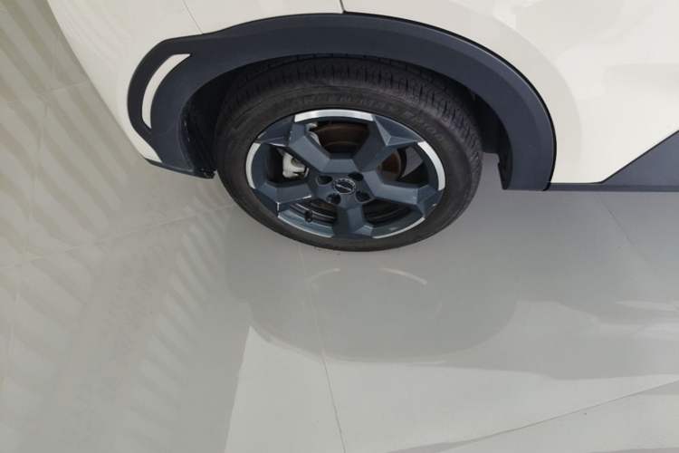 Used BYD Seagull 2023 Flying Edition Exterior 5