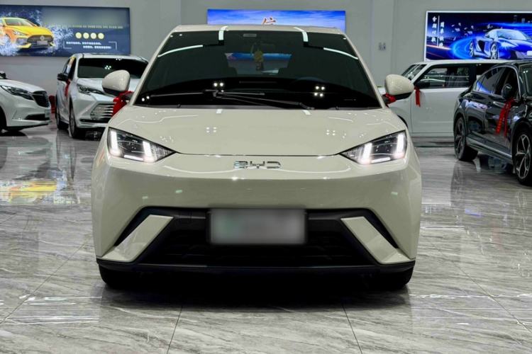 Used BYD Seagull 2023 Free Edition Exterior 5