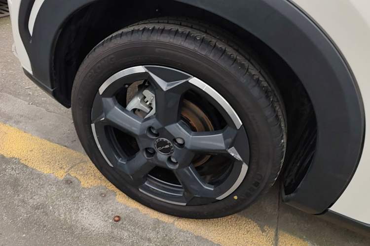 Used BYD Seagull 2023 Free Edition Exterior 5
