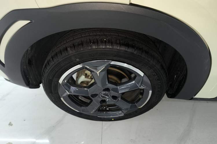 Used BYD Seagull 2023 Flying Edition Exterior 5