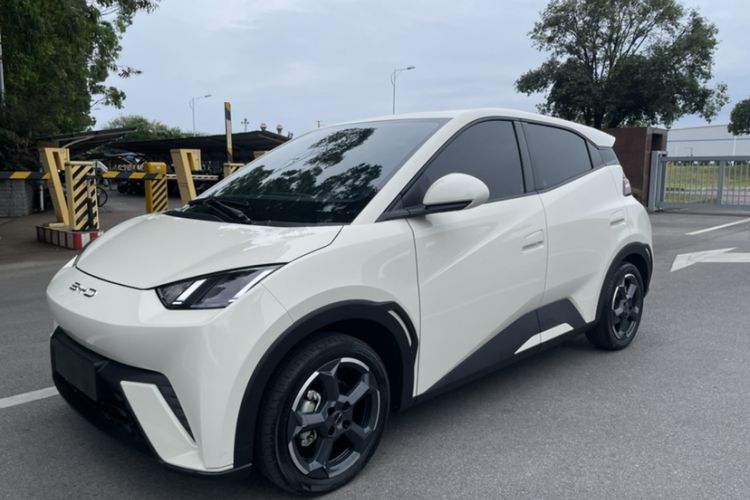 Used BYD Seagull 2023 Free Edition Exterior 5