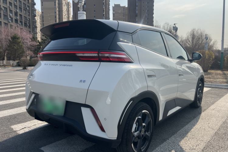Used BYD Seagull 2023 Flying Edition Exterior 5