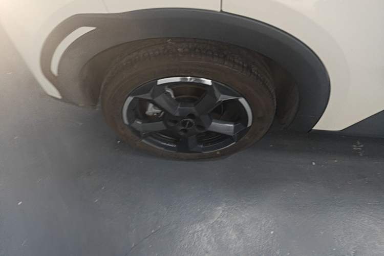 Used BYD Seagull 2023 Flying Edition Exterior 5