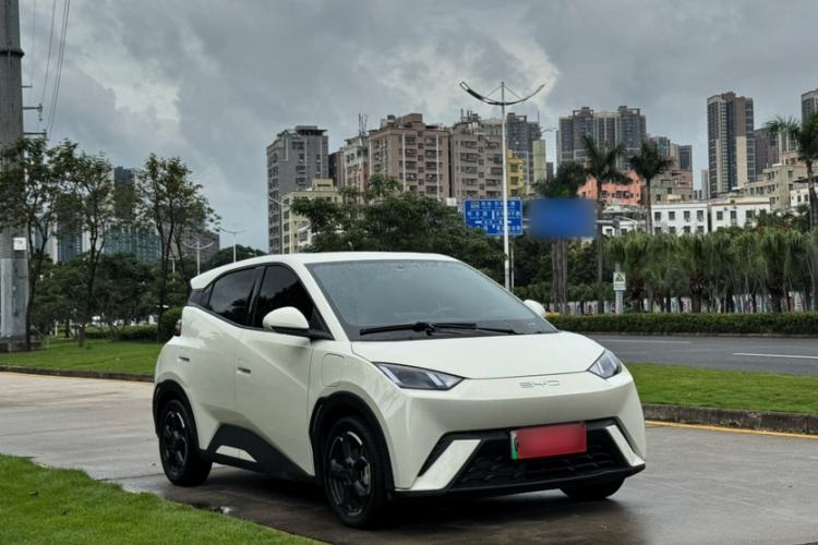 Used BYD Seagull 2023 Flying Edition Exterior 5