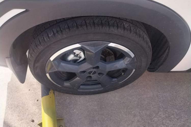 Used BYD Seagull 2023 Flying Edition Exterior 5