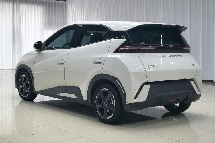 Used BYD Seagull 2023 Free Edition Exterior 6