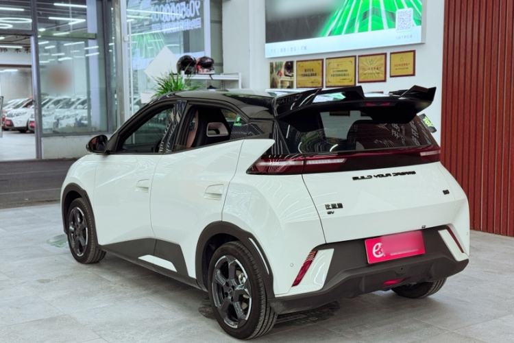 Used BYD Seagull 2023 Flying Edition Exterior 6