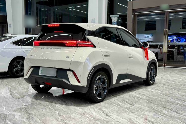 Used BYD Seagull 2023 Free Edition Exterior 6